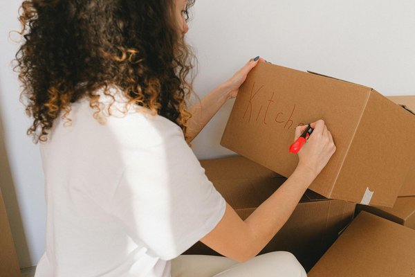 Guide Pratique : Comment Réussir Votre Déclaration de Sinistre à l'Assurance avec Efficacité et Astuces Clés