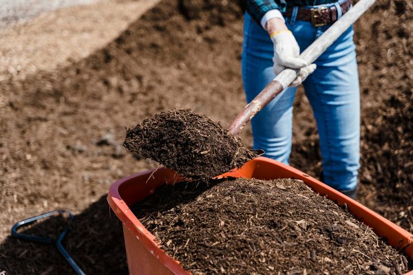 Matière première pellet : valoriser efficacement vos ressources
